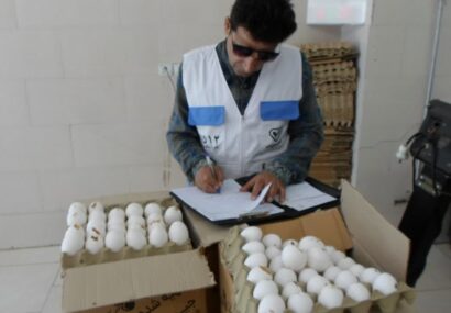 کشف و معدوم‌سازی بیش از یکصد کیلو تخم مرغ غیر قابل مصرف در کاشمر