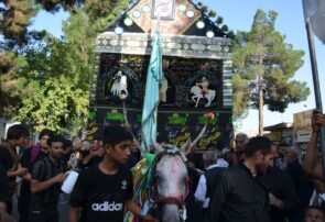 آیین دسته بنی اسد و نخل گردانی در شهرستان کاشمر برگزار شد