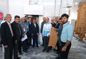 اولین دوره مسابقات مهارتی پخت نان در بین ۱۶۰ واحد نانوایی شهرستان کاشمر