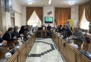 خراسان رضوی رتبه اول کمیت تشکل‌ها در بین استان‌های کشور