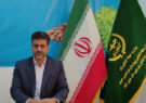 آغاز برداشت انگور یاقوتی از تاکستان‌های خلیل‌آباد
