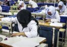 حمایت از ۲۰ هزار زن سرپرست خانوار در بهزیستی خراسان رضوی
