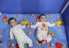 ۸۱ کودک شیرخوار در مراکز بهزیستی خراسان رضوی تحت مراقبت هستند