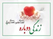 اهدای عضو به ۵ بیمار نیازمند زندگی دوباره بخشید