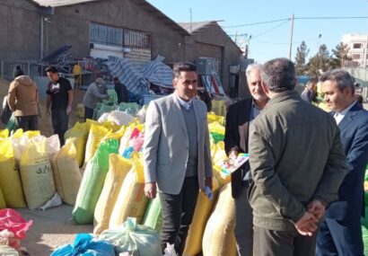 توزیع بیش از ۲ هزار تن انواع نهاده دامی دربین دامداران شهرستان کاشمر