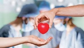 اهدای عضو به ۳ بیمار زندگی دوباره بخشید