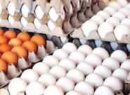 توقیف بیش از 2 تن تخم مرغ فاقد گواهی بهداشتی قرنطینهای حمل در کاشمر توقیف بیش از ۲ تن تخم مرغ فاقد گواهی بهداشتی قرنطینهای حمل در کاشمر
