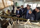 بازدید معاون رئیسجمهوری در امور توسعه روستایی و مناطق محروم کشور از نمایشگاه منسوجات دستباف در روستای محمودآباد تربت جام