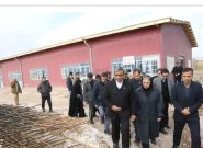 بازدید استاندار خراسان رضوی از زیرساختهای مرزی دوغارون بازدید استاندار خراسان رضوی از زیرساختهای مرزی دوغارون