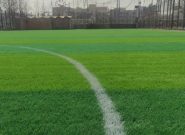 تعویض چمن مصنوعی زمین ورزشی گلشن با بیش از یک میلیارد تومان اعتبار تعویض چمن مصنوعی زمین ورزشی گلشن با بیش از یک میلیارد تومان اعتبار