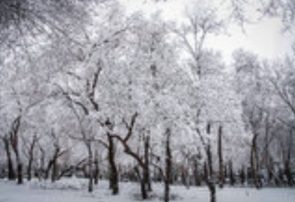 ورود سامانه بارشی به خراسان رضوی