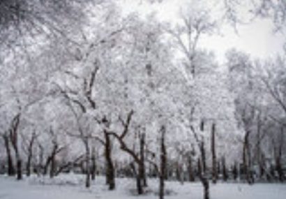 ورود سامانه بارشی به خراسان رضوی