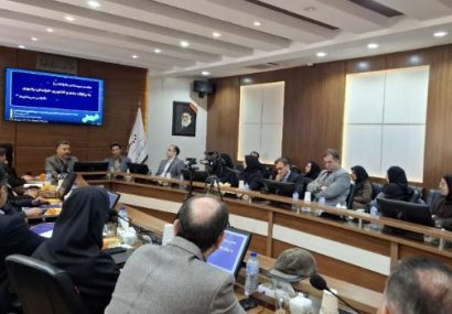 بررسی مدلهای شبکهسازی و توسعه بازار در نشست زیستبوم فناوری شرق کشور