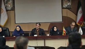 از قانون تا اجرا؛ بازخوانی مسئولیت دستگاهها در قبال حقوق افراد دارای معلولیت