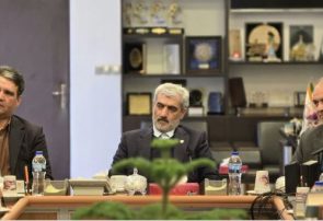 همافزایی بین نهادها برای عدالت اجتماعی