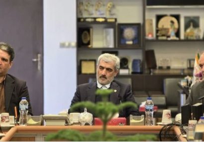 همافزایی بین نهادها برای عدالت اجتماعی