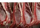 قیمت گوشت در خراسان رضوی کاهش می یابد