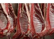 قیمت گوشت در خراسان رضوی کاهش می یابد