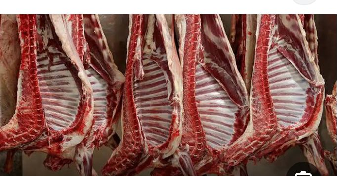 قیمت گوشت در خراسان رضوی کاهش می یابد