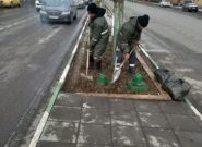 هکتار گلکاری فضای سبز در استقبال از بهار سال 1405 هکتار گلکاری فضای سبز در استقبال از بهار سال ۱۴۰۵