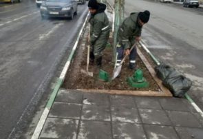 هکتار گلکاری فضای سبز در استقبال از بهار سال ۱۴۰۵