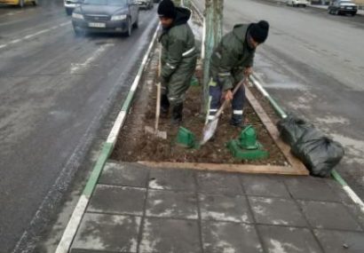 هکتار گلکاری فضای سبز در استقبال از بهار سال ۱۴۰۵