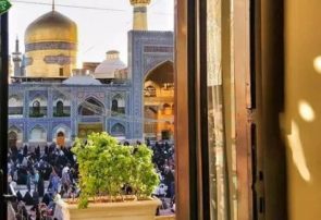 شاخه گلِ پیرزن؛ نذری کوچک با دلی به وسعت حرم