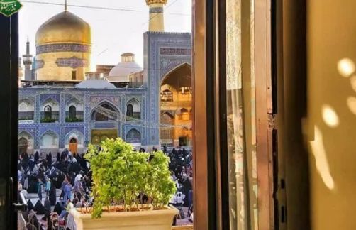 شاخه گلِ پیرزن؛ نذری کوچک با دلی به وسعت حرم شاخه گلِ پیرزن؛ نذری کوچک با دلی به وسعت حرم