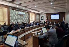 تحلیل ظرفیتهای قانون جهش تولید دانشبنیان در پنل تخصصی اعتبار مالیاتی