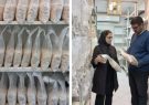 تحول فناورانه در مرکز خدمات تخصصی فناوری قارچهای خوراکی؛ جایگزینی سلوفانهای فیلتردار با روشهای سنتی