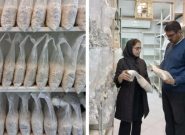 تحول فناورانه در مرکز خدمات تخصصی فناوری قارچهای خوراکی؛ جایگزینی سلوفانهای فیلتردار با روشهای سنتی تحول فناورانه در مرکز خدمات تخصصی فناوری قارچهای خوراکی؛ جایگزینی سلوفانهای فیلتردار با روشهای سنتی