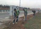 آمادهسازی بستر فضای سبز منطقه ۸ جهت کاشت بیش از یک میلیون گل فصلی