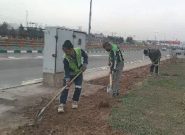 آمادهسازی بستر فضای سبز منطقه ۸ جهت کاشت بیش از یک میلیون گل فصلی آمادهسازی بستر فضای سبز منطقه ۸ جهت کاشت بیش از یک میلیون گل فصلی