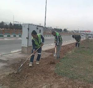 آمادهسازی بستر فضای سبز منطقه ۸ جهت کاشت بیش از یک میلیون گل فصلی