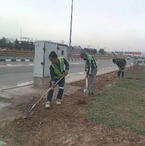 آمادهسازی بستر فضای سبز منطقه ۸ جهت کاشت بیش از یک میلیون گل فصلی آمادهسازی بستر فضای سبز منطقه ۸ جهت کاشت بیش از یک میلیون گل فصلی