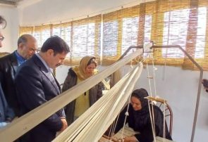 معاون رئیسجمهوری در امور توسعه روستایی: تخصیص اعتبار برای نوسازی و خرید ۵ هزار دستگاه فرتبافی در تایباد