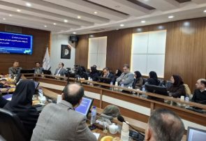 بررسی مدلهای شبکهسازی و توسعه بازار در نشست زیستبوم فناوری شرق کشور