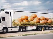 نظارت دامپزشکی کاشمر بر خروج بیش از 1 هزار و 730 تن تخم مرغ خوراکی مازاد بر نیاز این شهرستان نظارت دامپزشکی کاشمر بر خروج بیش از ۱ هزار و ۷۳۰ تن تخم مرغ خوراکی مازاد بر نیاز این شهرستان