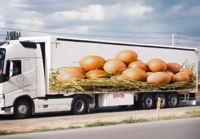 نظارت دامپزشکی کاشمر بر خروج بیش از ۱ هزار و ۷۳۰ تن تخم مرغ خوراکی مازاد بر نیاز این شهرستان