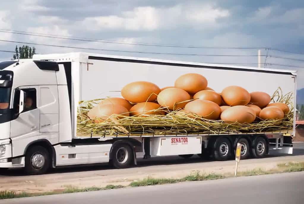 نظارت دامپزشکی کاشمر بر خروج بیش از 1 هزار و 730 تن تخم مرغ خوراکی مازاد بر نیاز این شهرستان نظارت دامپزشکی کاشمر بر خروج بیش از ۱ هزار و ۷۳۰ تن تخم مرغ خوراکی مازاد بر نیاز این شهرستان