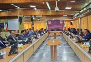 تخصیص ۲۰۰۰ میلیارد ریال اعتبار برای مقابله با گرد و غبار سرخس