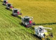 سهم ۶۰ درصدی نفوذ دانش در افزایش تولید کشاورزی خراسان رضوی سهم ۶۰ درصدی نفوذ دانش در افزایش تولید کشاورزی خراسان رضوی