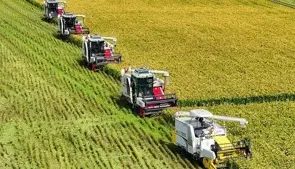 سهم ۶۰ درصدی نفوذ دانش در افزایش تولید کشاورزی خراسان رضوی