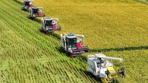 سهم ۶۰ درصدی نفوذ دانش در افزایش تولید کشاورزی خراسان رضوی