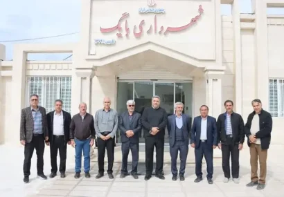 ۶۰۰ میلیارد تومان سرمایهگذاری و اجرای بیش از ۲۰۰ پروژه شهری در تربت حیدریه