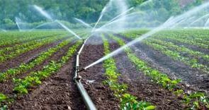 اجرای ۴۱ هزار هکتار سامانههای نوین آبیاری در اراضی کشاورزی/ ۱۳۰۰ میلیارد تومان اعتبار در اواخر اسفند ۱۴۰۴ تخصیص داده شد