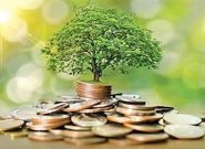 پرداخت بیش از ۲۲ هزار میلیارد ریال تسهیلات بخش کشاورزی در خراسان رضوی