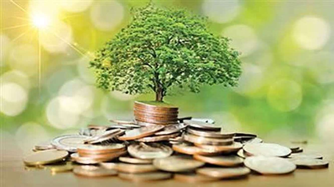 پرداخت بیش از ۲۲ هزار میلیارد ریال تسهیلات بخش کشاورزی در خراسان رضوی