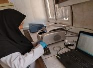 انجام آزمون های مولکولی و سرمی بر روی ۱9هزار و 500 نمونه طیور در طرح ملی پایش آنفلوانزای فوقحاد پرندگان در آزمایشگاه مرکزی و مرجع دامپزشکی خراسان رضوی انجام آزمون های مولکولی و سرمی بر روی ۱۹هزار و ۵۰۰ نمونه طیور در طرح ملی پایش آنفلوانزای فوقحاد پرندگان در آزمایشگاه مرکزی و مرجع دامپزشکی خراسان رضوی