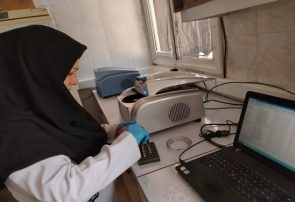 انجام آزمون های مولکولی و سرمی بر روی ۱9هزار و 500 نمونه طیور در طرح ملی پایش آنفلوانزای فوقحاد پرندگان در آزمایشگاه مرکزی و مرجع دامپزشکی خراسان رضوی انجام آزمون های مولکولی و سرمی بر روی ۱۹هزار و ۵۰۰ نمونه طیور در طرح ملی پایش آنفلوانزای فوقحاد پرندگان در آزمایشگاه مرکزی و مرجع دامپزشکی خراسان رضوی